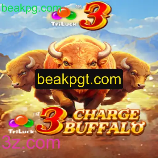 Explorando o Mundo de 3ChargeBuffalo